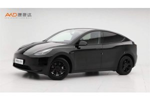 Model Y 特斯拉 后輪驅動版