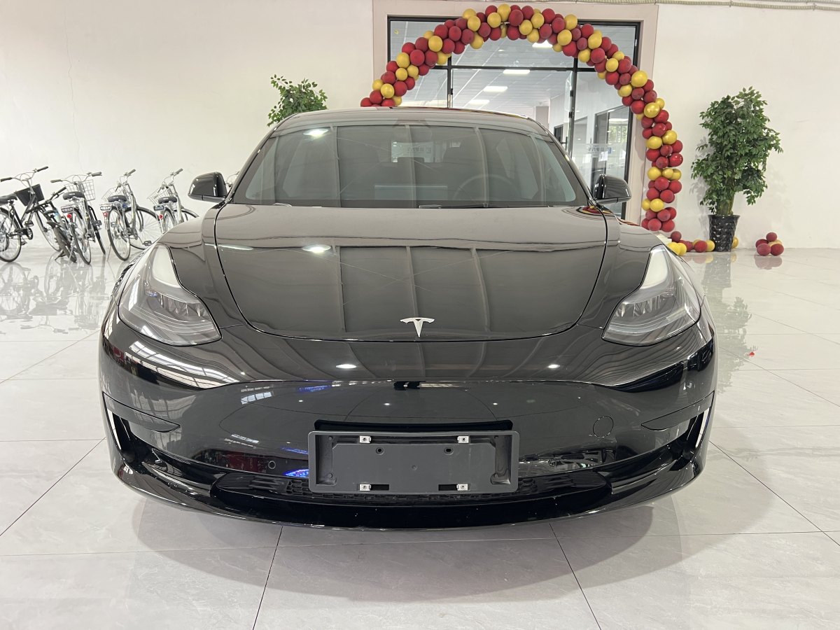 2023年3月特斯拉 Model 3  2022款 改款 后輪驅動版