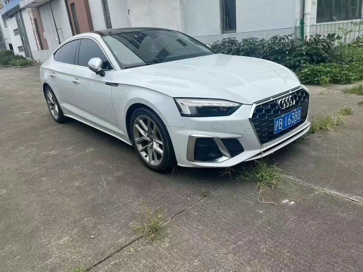 奧迪 奧迪SQ5  2021款 3.0 TFSI quattro圖片