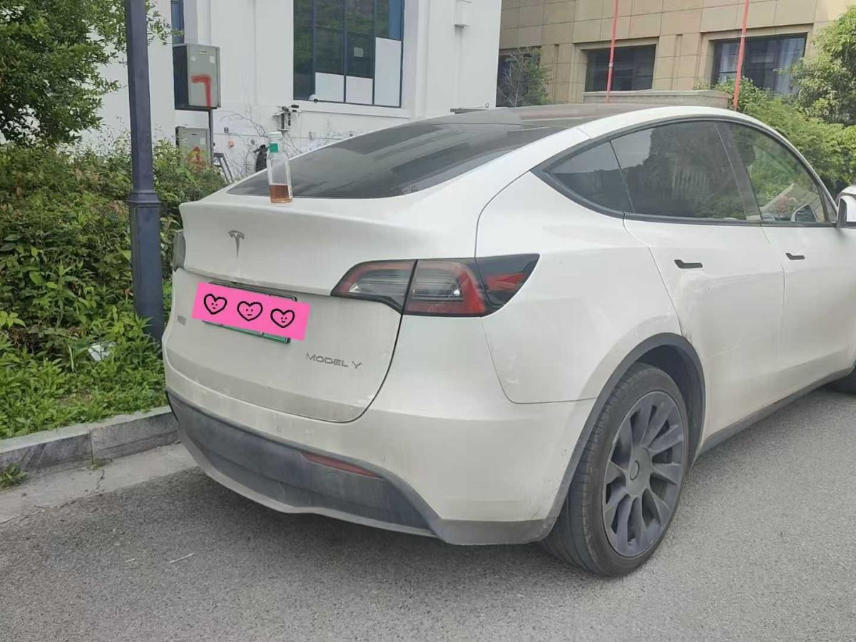 特斯拉 Model Y  2022款 Performance高性能全輪驅(qū)動(dòng)版圖片