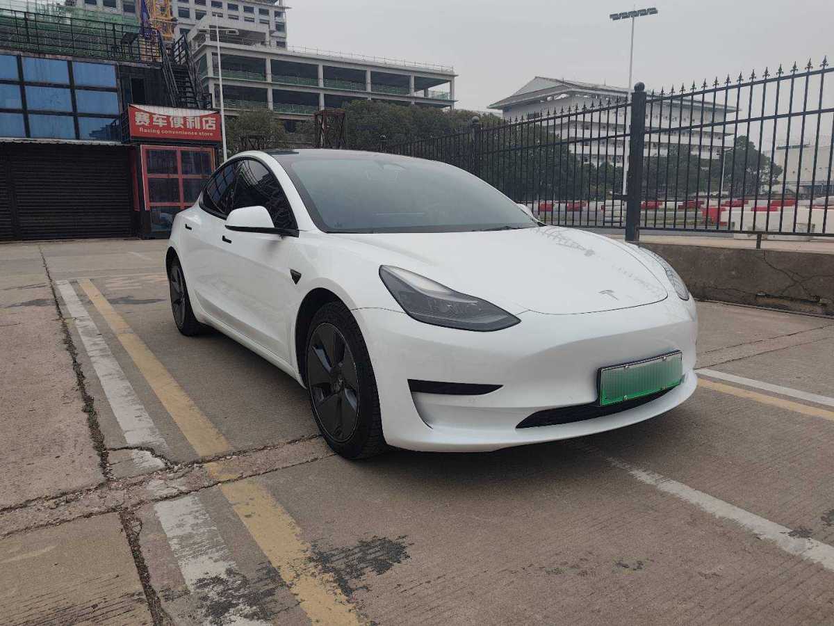 特斯拉 Model 3  2021款 標(biāo)準(zhǔn)續(xù)航后驅(qū)升級(jí)版 3D6圖片