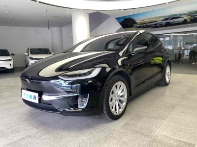 2018年8月 特斯拉 Model X Model X 100D 長(zhǎng)續(xù)航版圖片