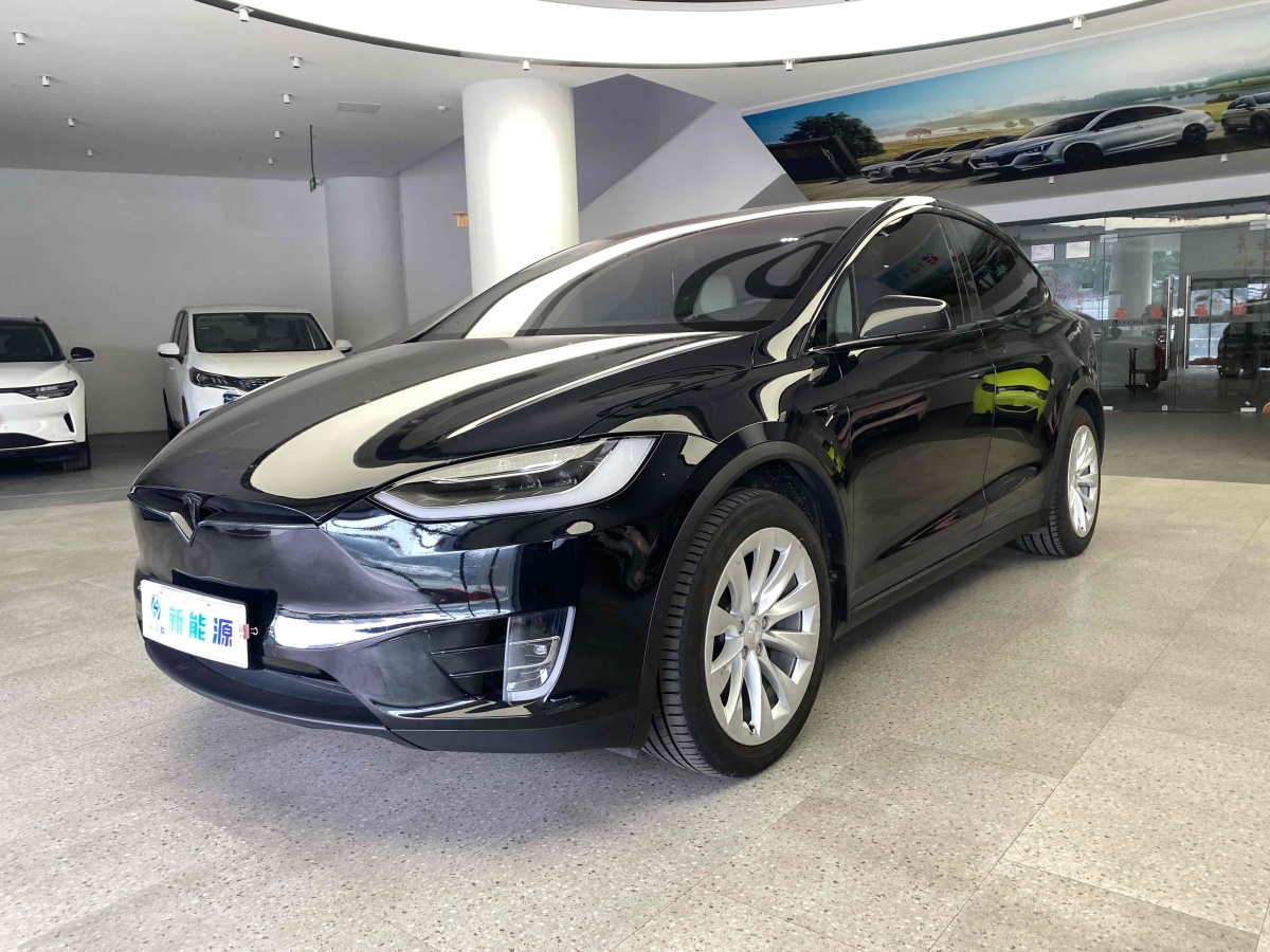 特斯拉 Model X  2017款 Model X 100D 長續(xù)航版圖片