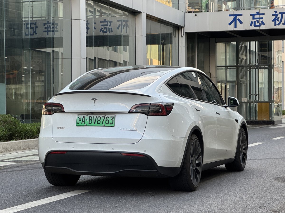 特斯拉 Model Y  2022款 Performance高性能全輪驅動版圖片