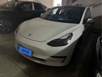 2021年3月 特斯拉 Model 3 標(biāo)準(zhǔn)續(xù)航后驅(qū)升級(jí)版圖片