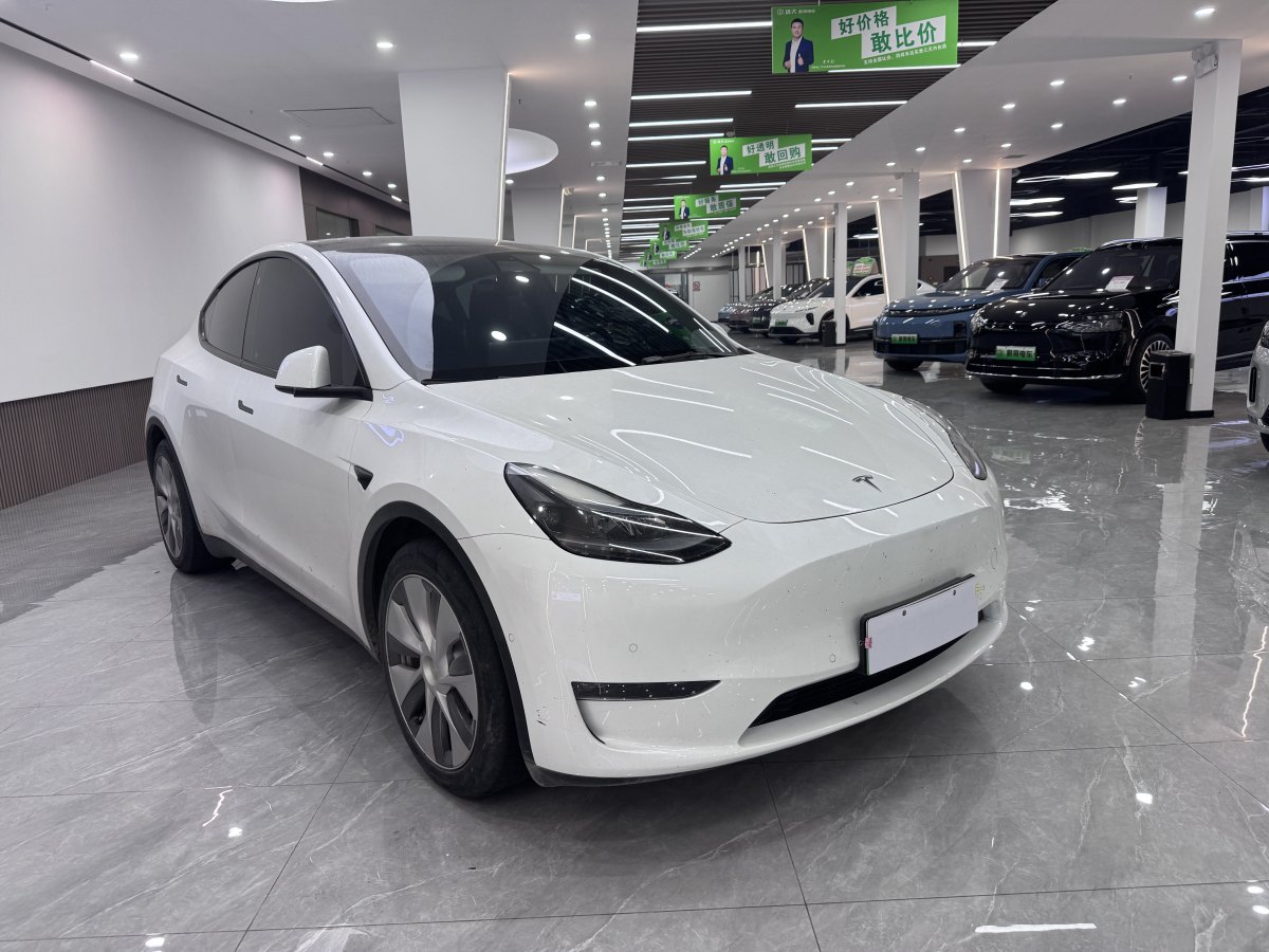 特斯拉 Model Y  2021款 改款 標(biāo)準(zhǔn)續(xù)航后驅(qū)升級(jí)版圖片