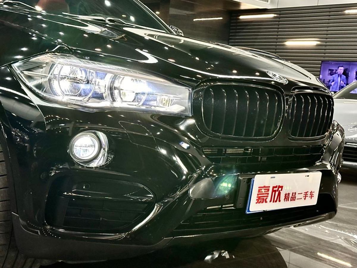 寶馬 寶馬X6  2018款 xDrive35i 領(lǐng)先型圖片