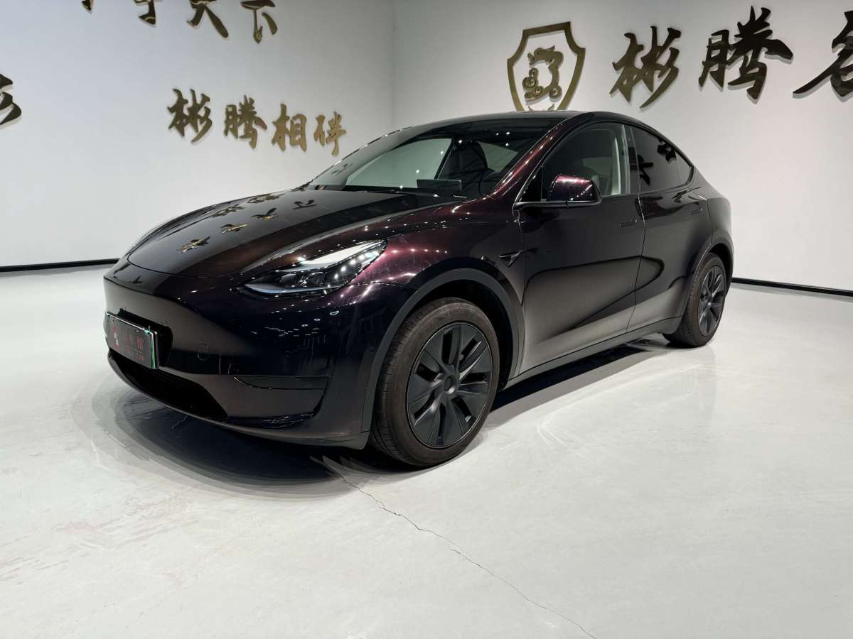 特斯拉 Model Y  2023款 后輪驅(qū)動(dòng)版圖片