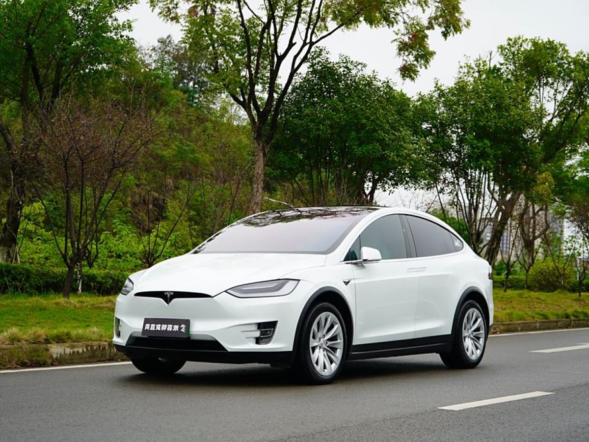 2019年11月特斯拉 Model X  2017款 Model X 100D 長續(xù)航版