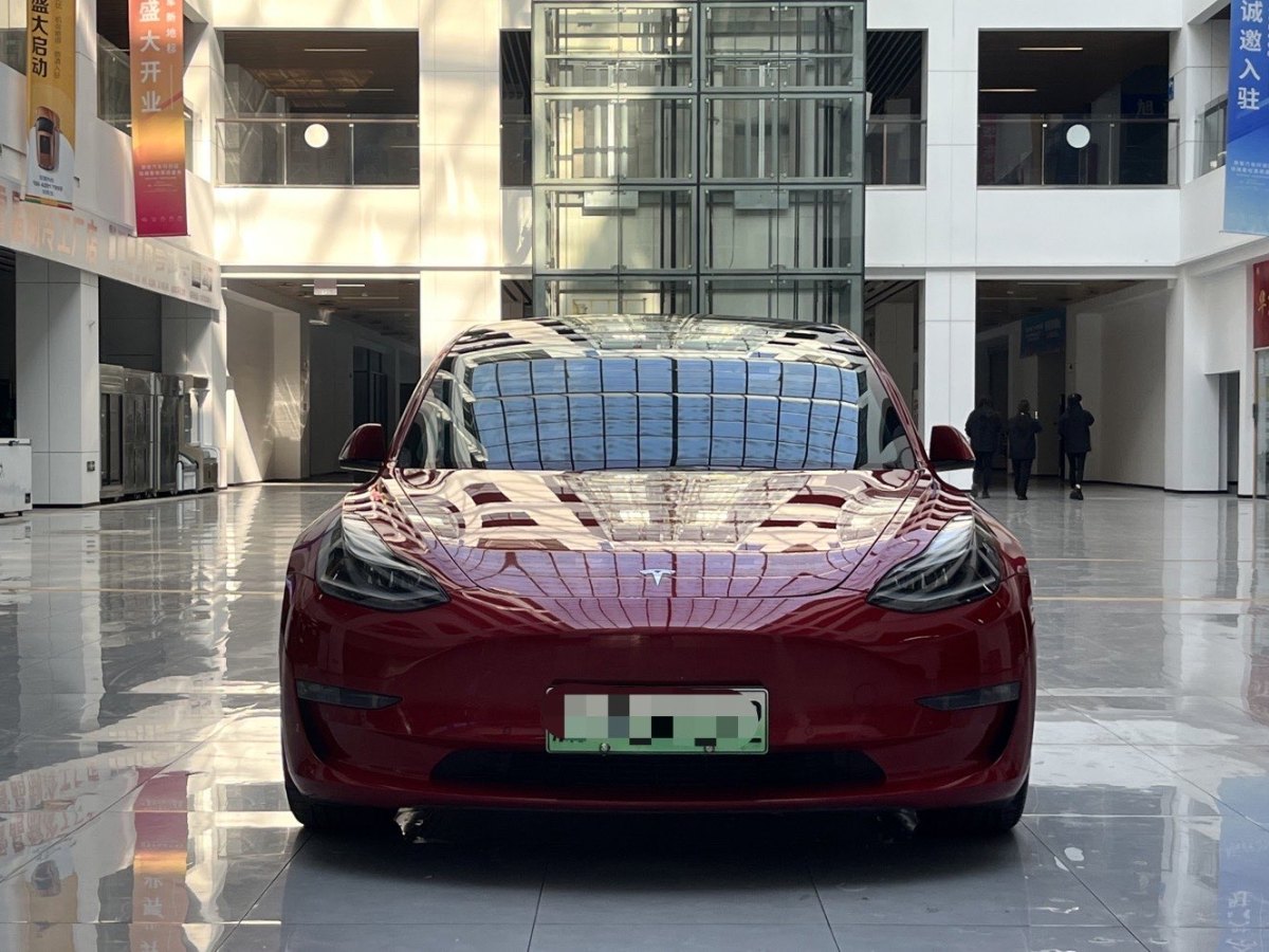 特斯拉 Model 3  2019款 Performance高性能全輪驅動版圖片