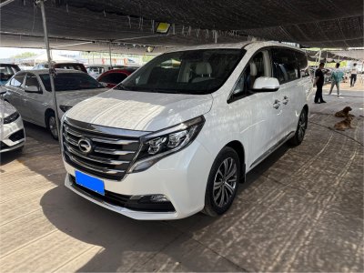2019年3月 廣汽傳祺 M8 320T 尊貴版圖片
