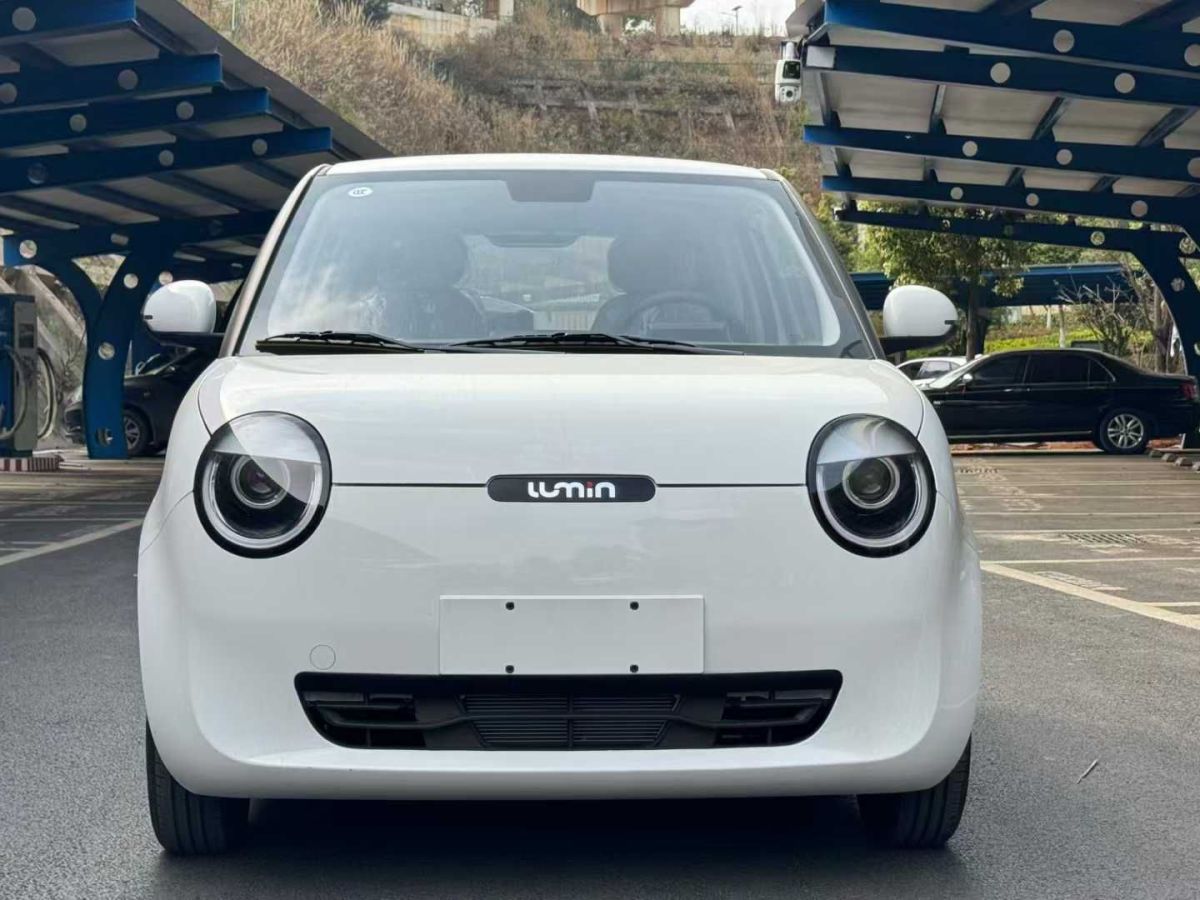 長安跨越 新豹T3 EV  2025款 PLUS 單排標(biāo)準(zhǔn)型 倉柵車圖片
