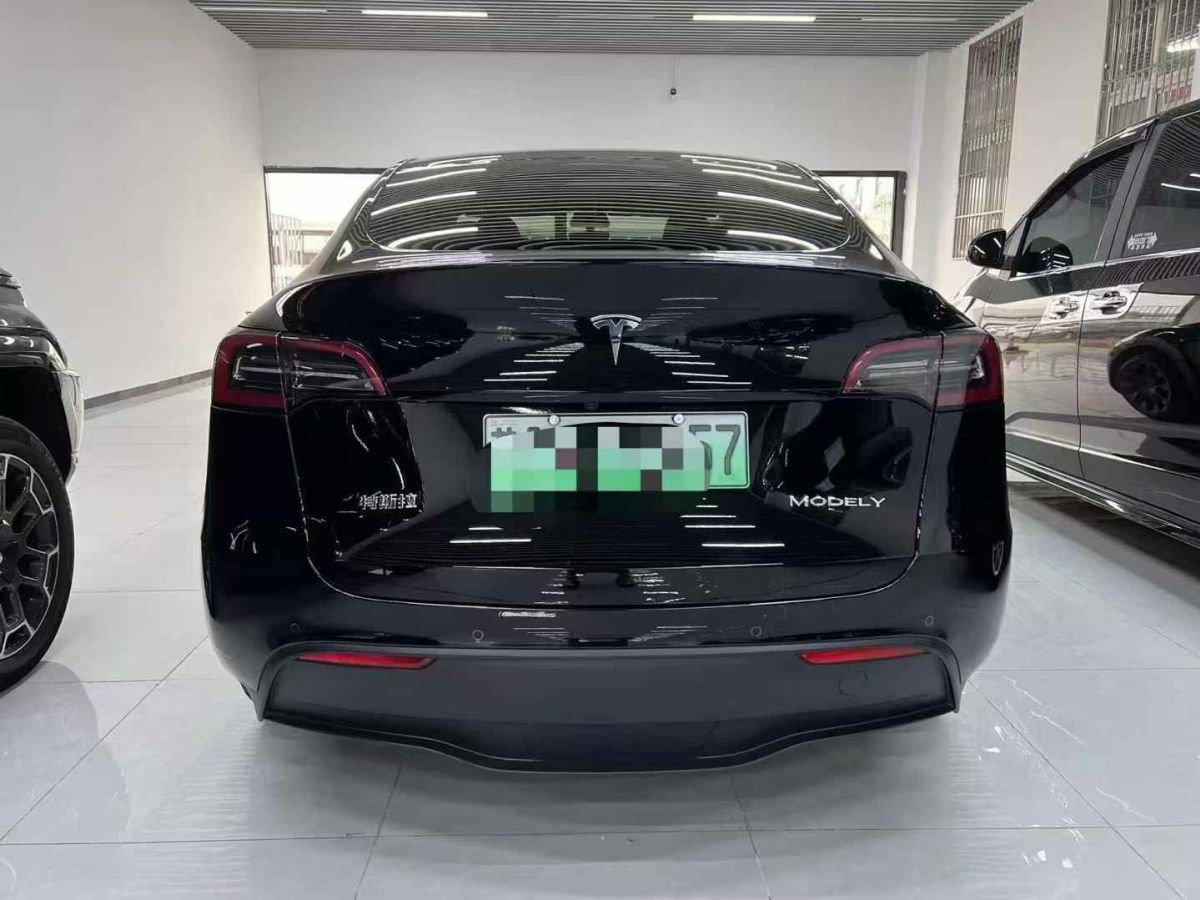 特斯拉 Model S  2023款 三電機全輪驅(qū)動 Plaid版圖片