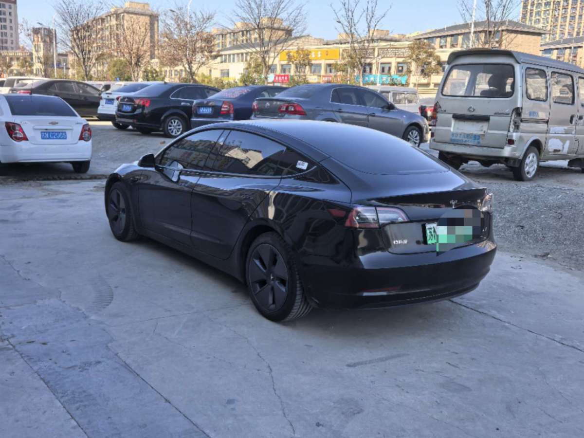 特斯拉 Model 3  2022款 后輪驅(qū)動版圖片