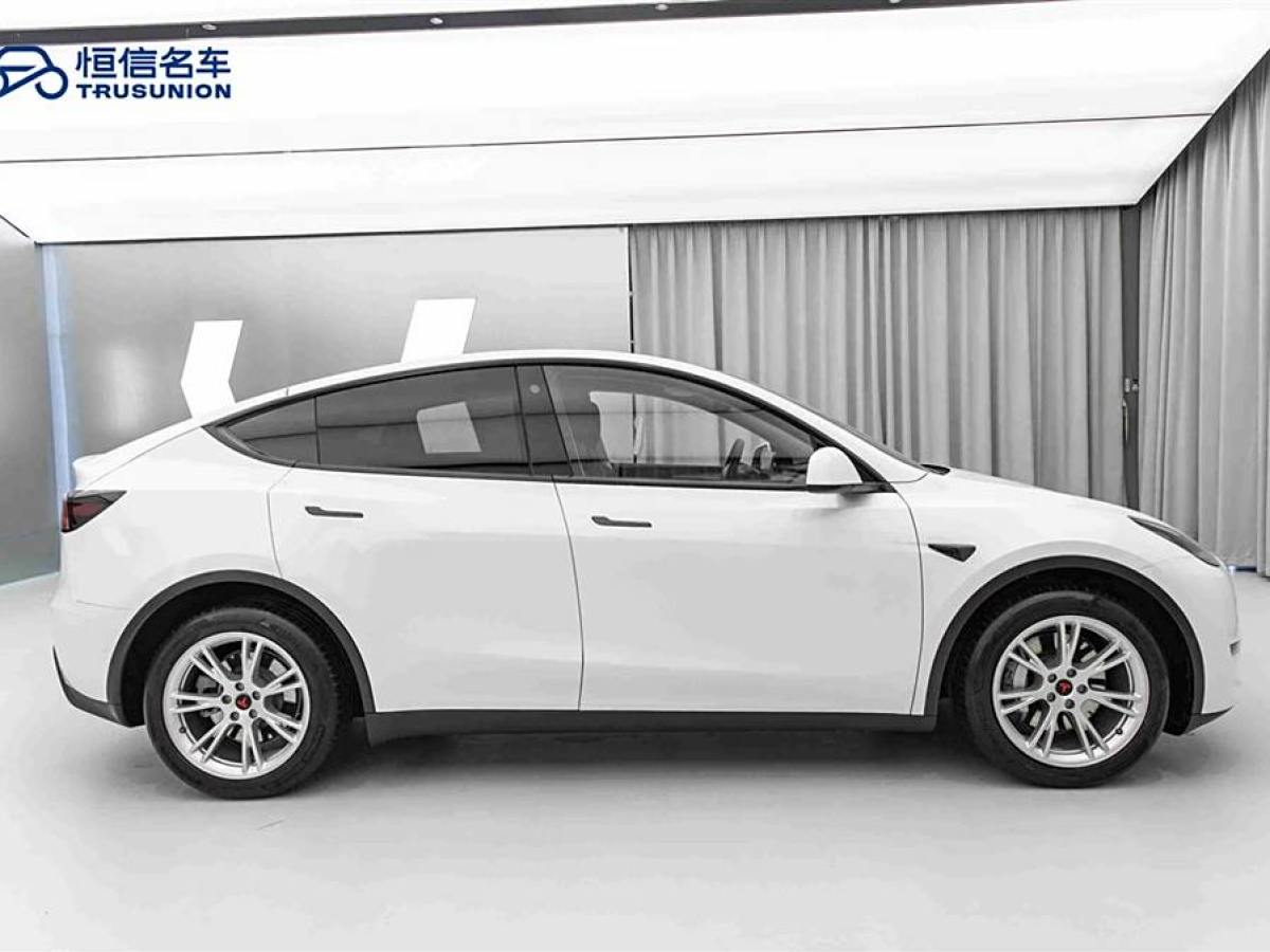 特斯拉 Model Y  2022款 改款 長續(xù)航全輪驅(qū)動(dòng)版圖片