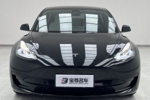 Model 3 特斯拉 標(biāo)準(zhǔn)續(xù)航后驅(qū)升級版