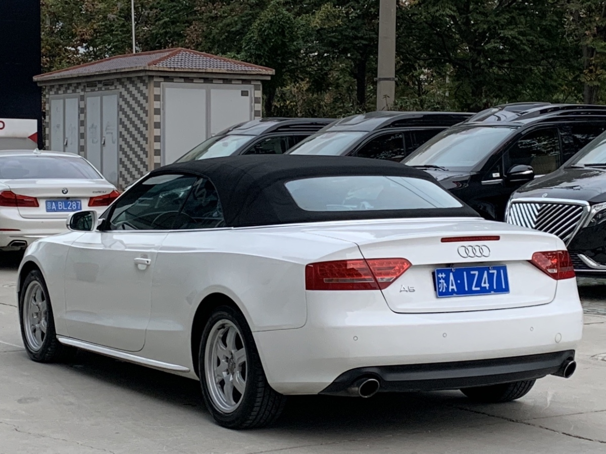 奧迪 奧迪a5 2010款 2.0tfsi cabriolet圖片