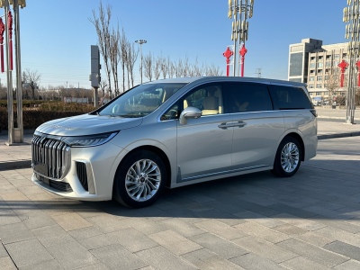 2024年1月 嵐圖 夢想家 PHEV 超長續(xù)航卓越版圖片