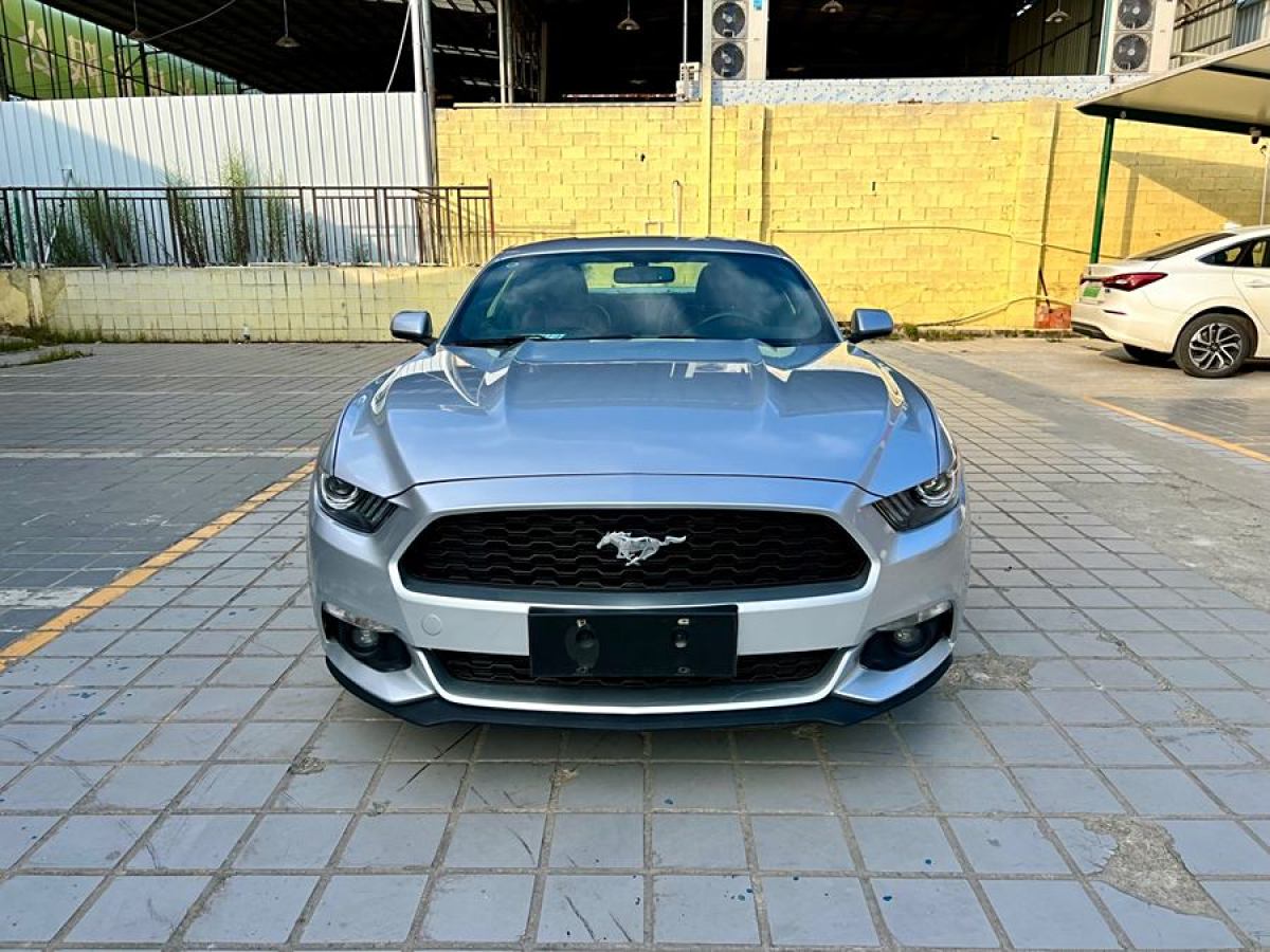 福特 Mustang  2015款 2.3T 50周年紀念版圖片