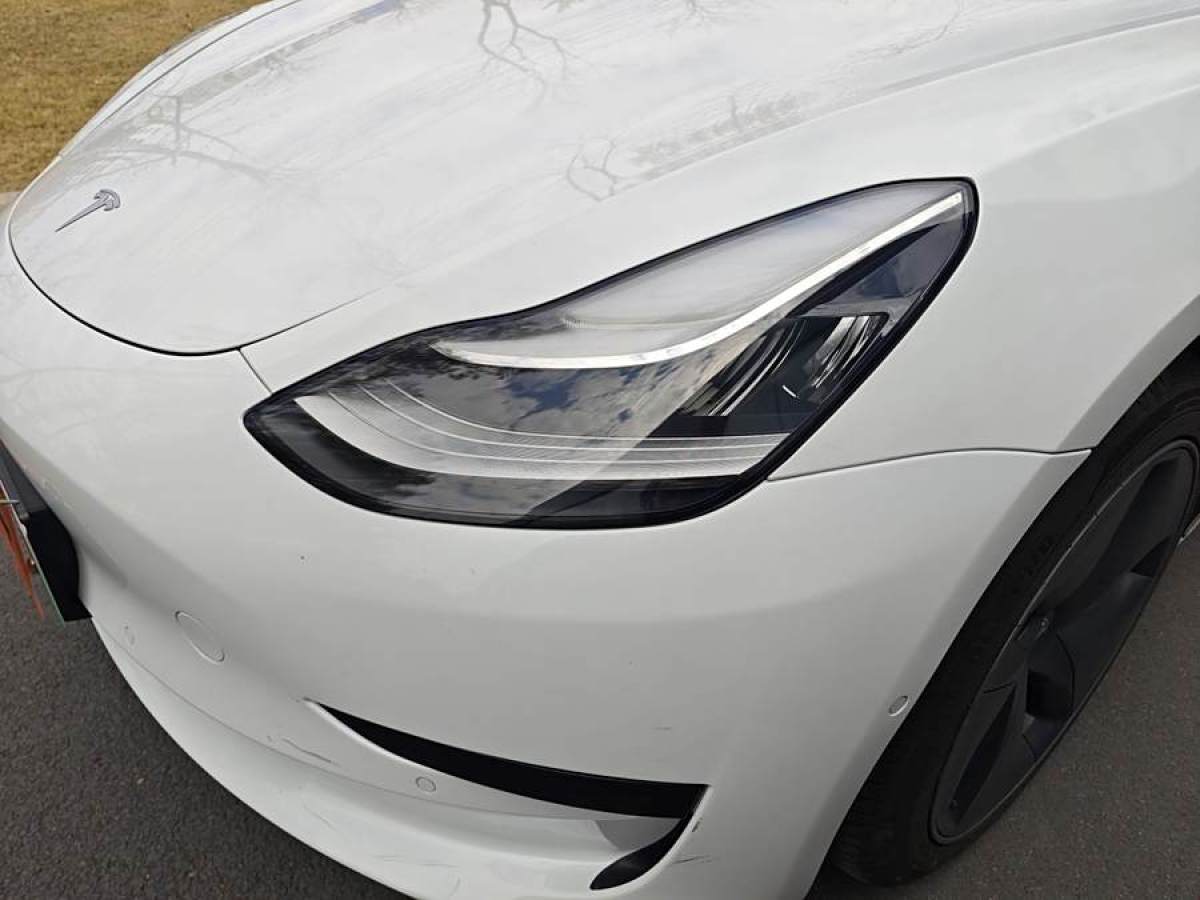 特斯拉 Model 3  2019款 標(biāo)準(zhǔn)續(xù)航后驅(qū)升級版圖片