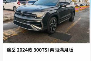 探岳 大众 300TSI 两驱豪华Plus进阶版