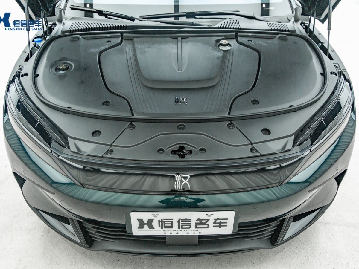 比亚迪 汉  2022款 EV 610KM四驱千山翠限量版图片