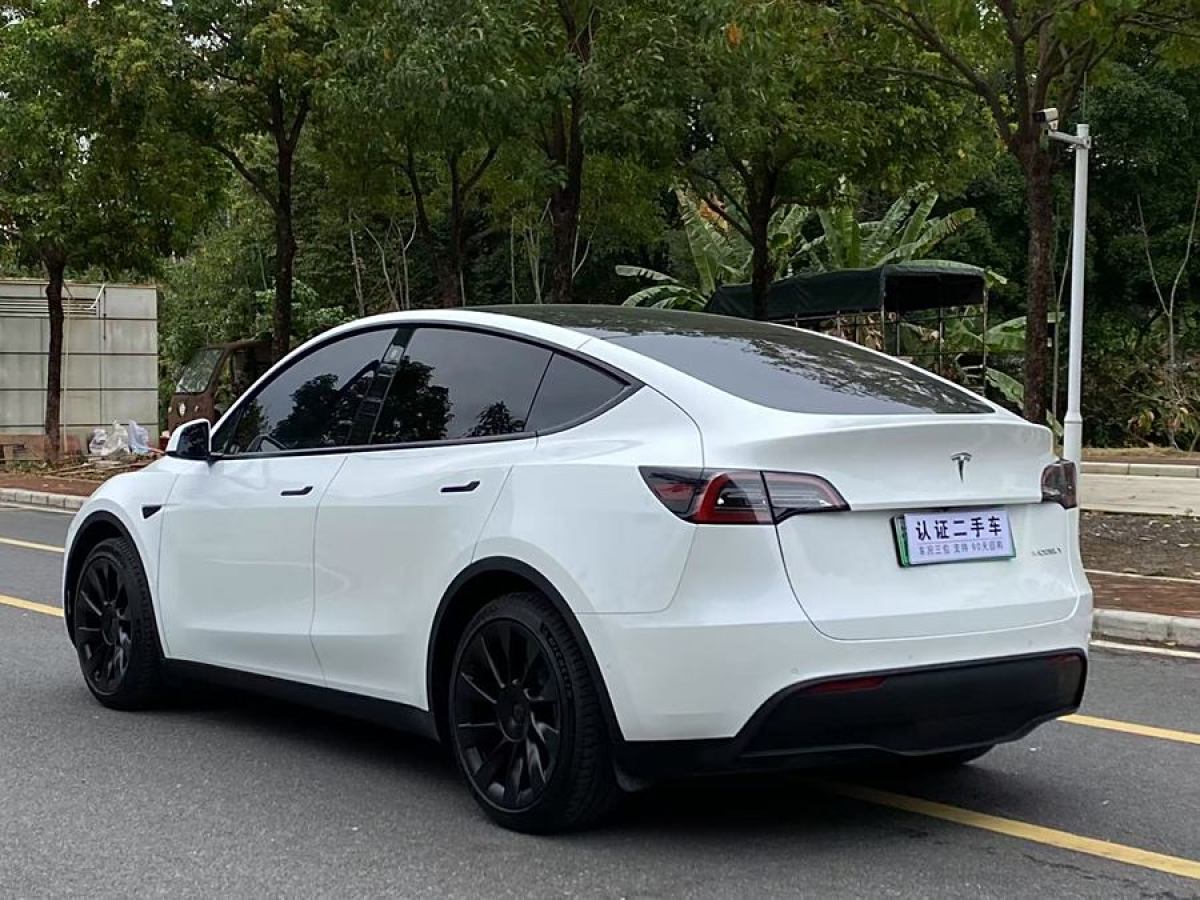 特斯拉 Model 3  2020款 改款 長(zhǎng)續(xù)航后輪驅(qū)動(dòng)版圖片