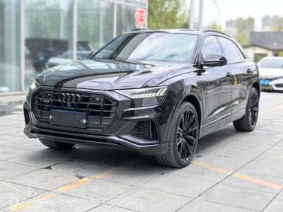 2022年6月 奧迪 奧迪Q8(進口) 55 TFSI 暗夜騎士殿堂版圖片