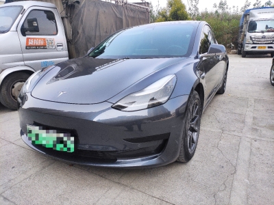 2020年11月 特斯拉 Model 3 改款 標(biāo)準(zhǔn)續(xù)航后驅(qū)升級版圖片