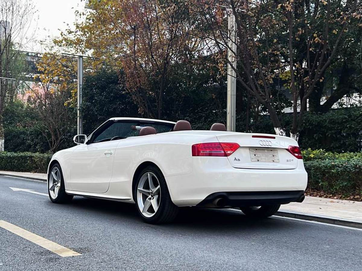 奧迪 奧迪A5  2010款 2.0TFSI Cabriolet圖片