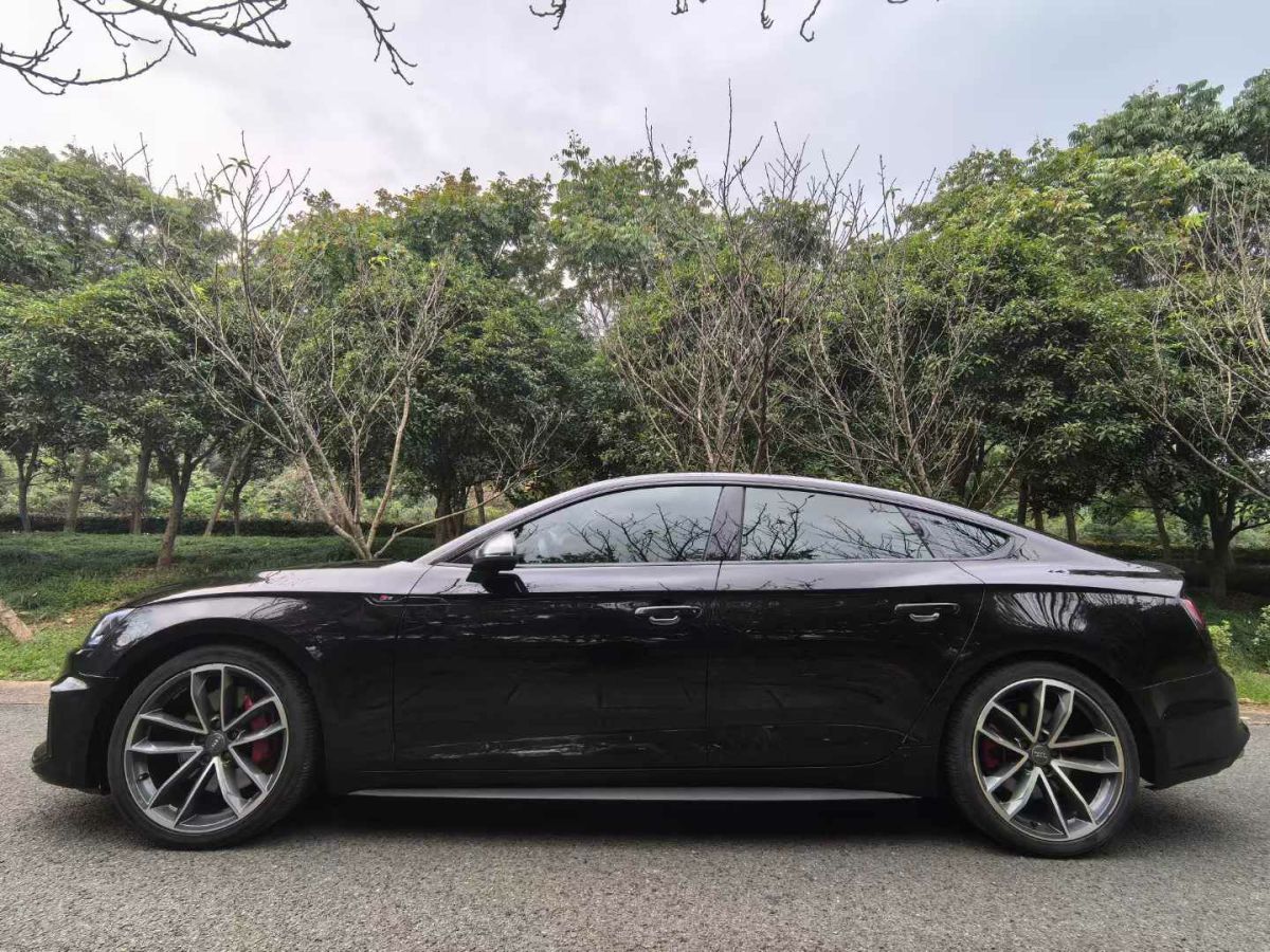 奧迪 奧迪S5  2019款 S5 3.0T Cabriolet圖片