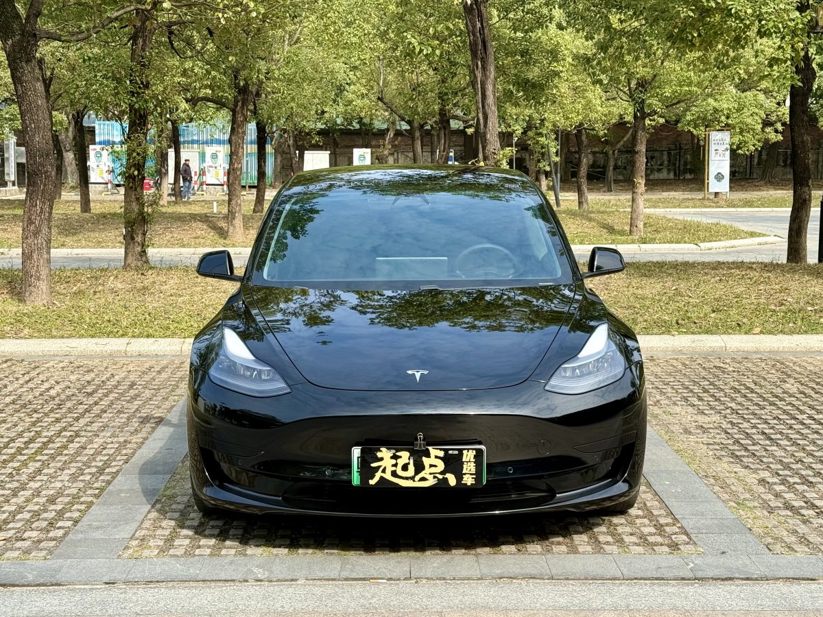 特斯拉 Model 3  2019款 標(biāo)準(zhǔn)續(xù)航后驅(qū)升級(jí)版圖片