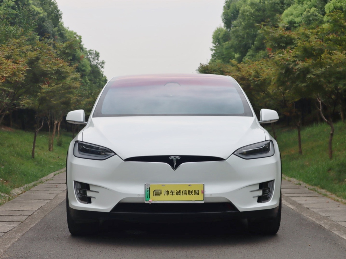 特斯拉 model x 2019款 標準續航版圖片