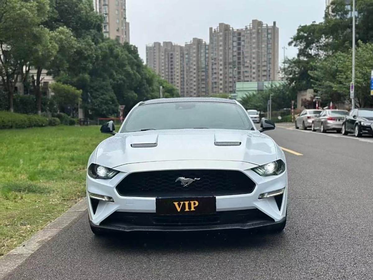 福特 Mustang  2019款 2.3L EcoBoost圖片