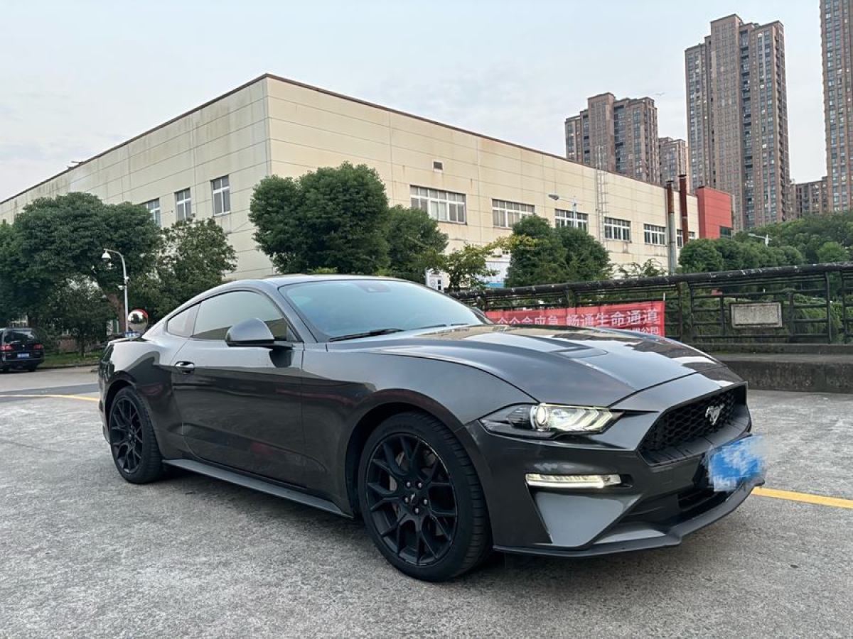 福特 Mustang  2019款 2.3L EcoBoost圖片