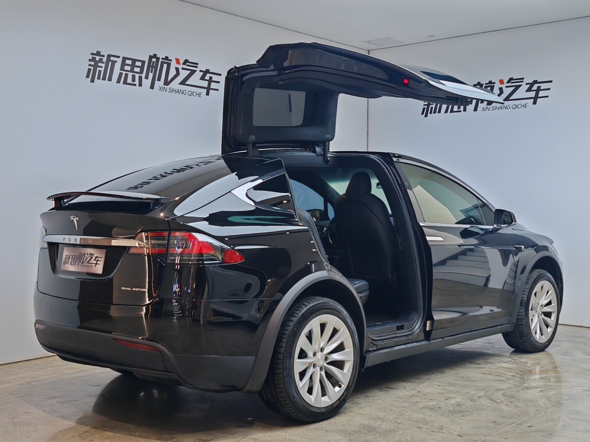 特斯拉 Model X  2019款 長續(xù)航版圖片