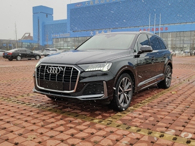 2021年2月 奥迪 奥迪Q7(进口) 55 TFSI quattro S line运动型图片