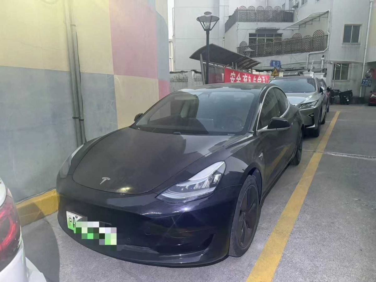 特斯拉 Model 3  2020款 標(biāo)準(zhǔn)續(xù)航后驅(qū)升級版圖片