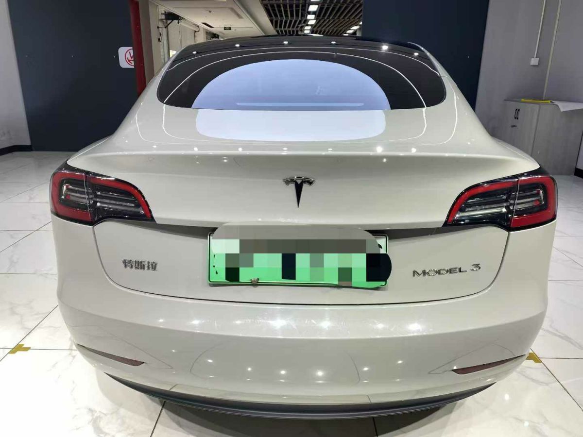 特斯拉 Model S  2023款 三電機(jī)全輪驅(qū)動(dòng) Plaid版圖片