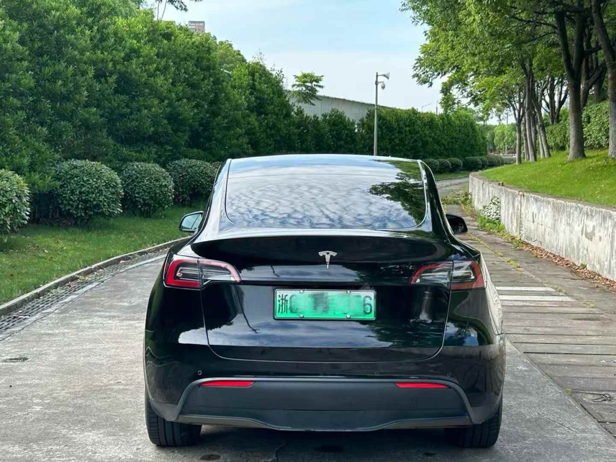 特斯拉 Model S  2021款 Performance 高性能版圖片