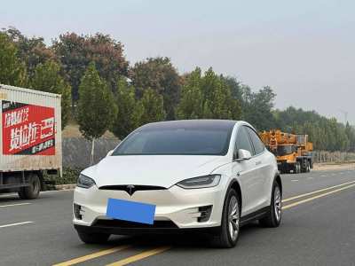 2019年7月 特斯拉 Model X Model X P100D Performance高性能版圖片