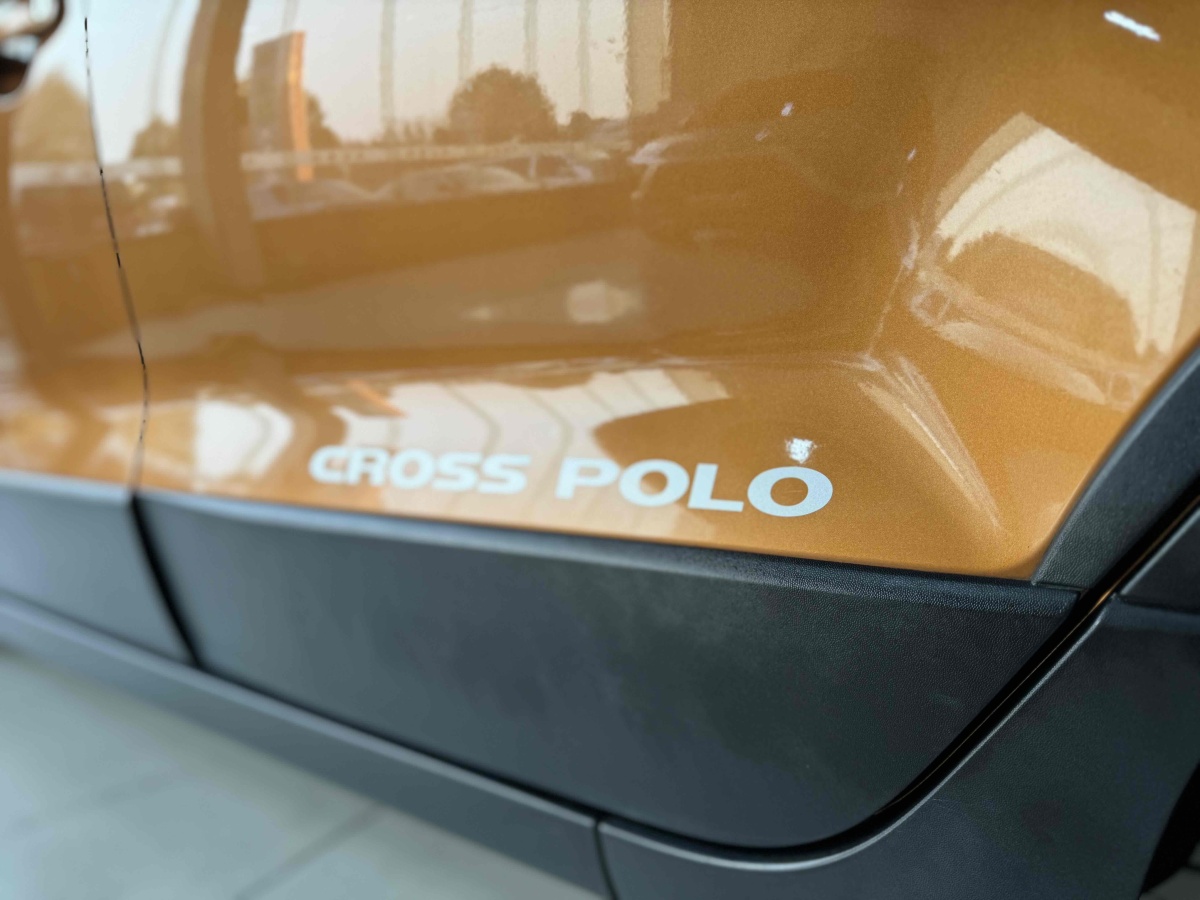 大眾 Polo  2014款 1.6L Cross Polo 自動(dòng)圖片