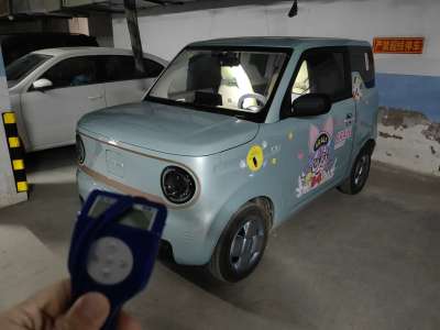 2024年9月 吉利 熊貓mini 200km 耐力熊圖片