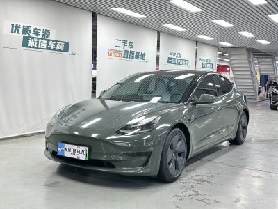 2021年5月 特斯拉 Model 3 標(biāo)準(zhǔn)續(xù)航后驅(qū)升級(jí)版 3D6圖片