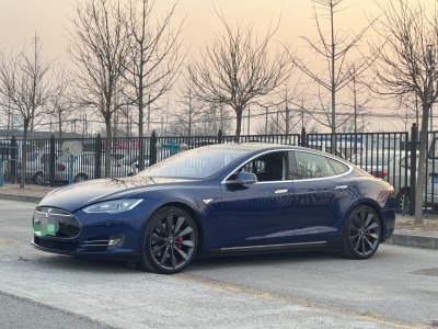 2016年3月 特斯拉 Model S Model S 90D圖片