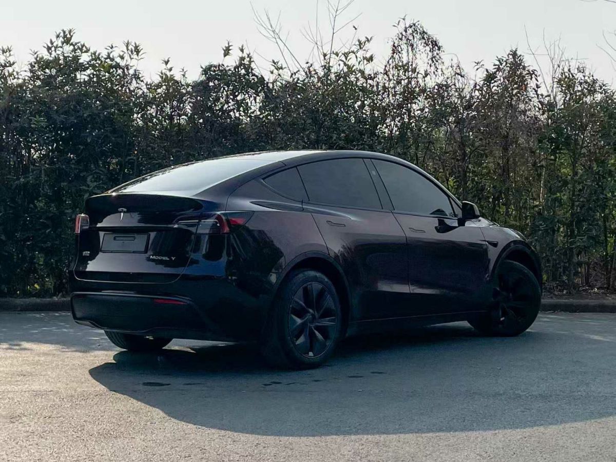 特斯拉 Model Y  2024款 Performance高性能版圖片