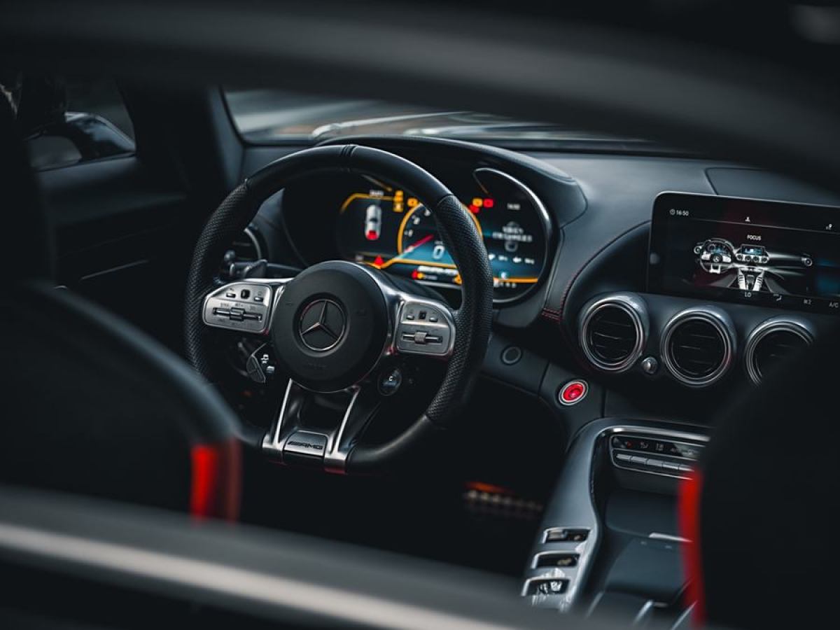 奔馳 奔馳AMG GT  2019款 AMG GT圖片