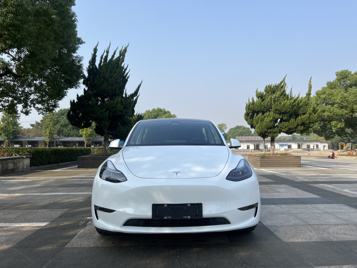 特斯拉 Model Y  2021款 改款 標(biāo)準(zhǔn)續(xù)航后驅(qū)升級版圖片