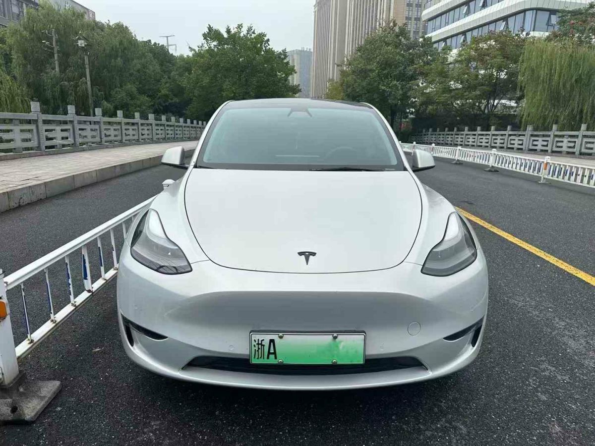 特斯拉 Model S  2021款 Performance 高性能版圖片