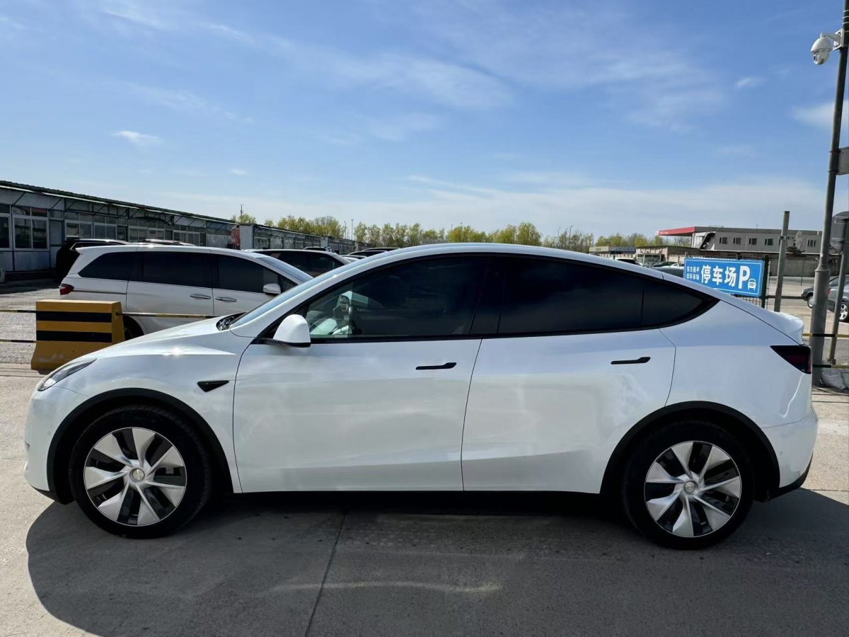 特斯拉 Model Y  2021款 長續(xù)航全輪驅動版 3D7圖片